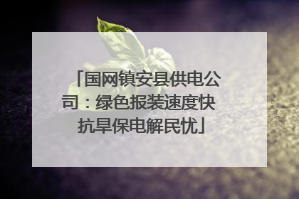 国网镇安县供电公司：绿色报装速度快 抗旱保电解民忧