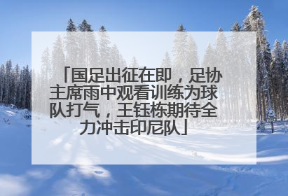 国足出征在即，足协主席雨中观看训练为球队打气，王钰栋期待全力冲击印尼队