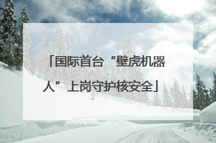 国际首台“壁虎机器人”上岗守护核安全