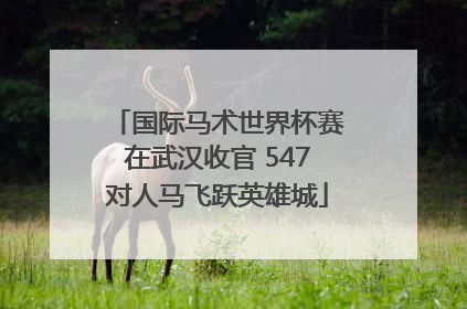国际马术世界杯赛在武汉收官 547对人马飞跃英雄城