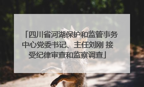 四川省河湖保护和监管事务中心党委书记、主任刘刚 接受纪律审查和监察调查
