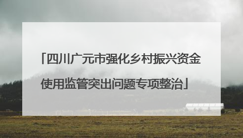 四川广元市强化乡村振兴资金使用监管突出问题专项整治