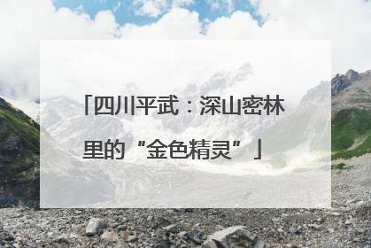 四川平武：深山密林里的“金色精灵”