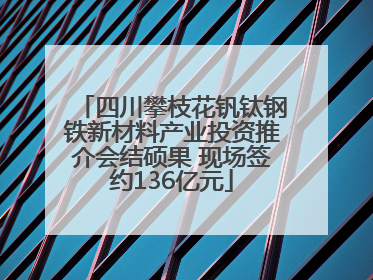 四川攀枝花钒钛钢铁新材料产业投资推介会结硕果 现场签约136亿元
