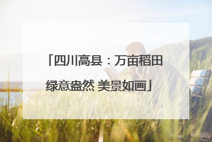 四川高县：万亩稻田绿意盎然 美景如画