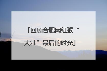 回顾合肥网红猴“大壮”最后的时光