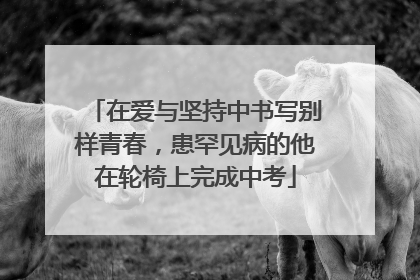在爱与坚持中书写别样青春，患罕见病的他在轮椅上完成中考