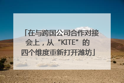 在与跨国公司合作对接会上，从“KITE”的四个维度重新打开潍坊