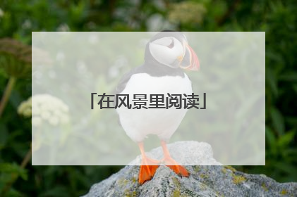 在风景里阅读