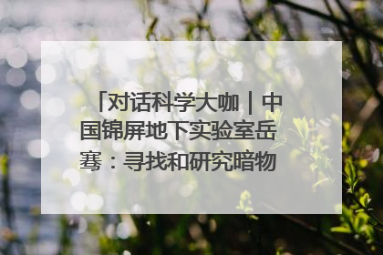 对话科学大咖｜中国锦屏地下实验室岳骞：寻找和研究暗物质，就是要去突破人类的认知边界