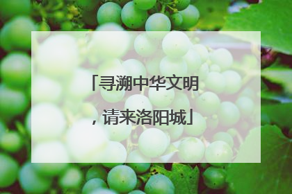 寻溯中华文明，请来洛阳城
