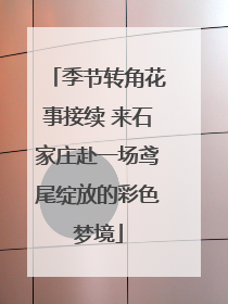 季节转角花事接续 来石家庄赴一场鸢尾绽放的彩色梦境