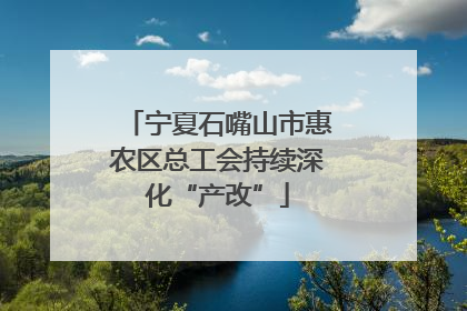 宁夏石嘴山市惠农区总工会持续深化“产改”