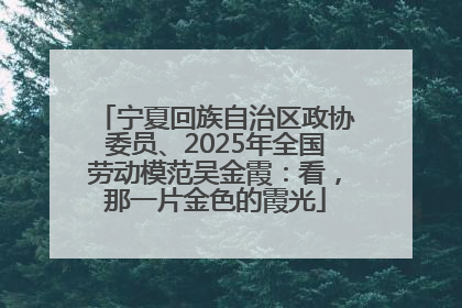 宁夏回族自治区政协委员、2025年全国劳动模范吴金霞：看，那一片金色的霞光