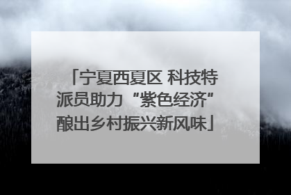 宁夏西夏区 科技特派员助力“紫色经济”酿出乡村振兴新风味