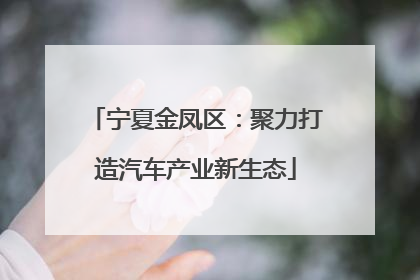 宁夏金凤区：聚力打造汽车产业新生态