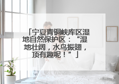 宁夏青铜峡库区湿地自然保护区：“湿地壮阔，水鸟振翅，顶有趣呢！”