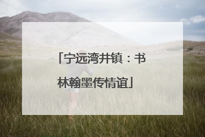 宁远湾井镇：书林翰墨传情谊