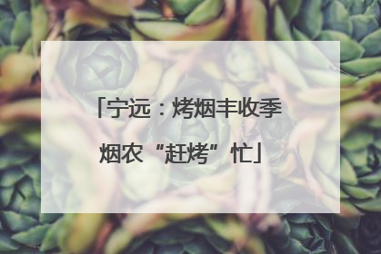 宁远：烤烟丰收季 烟农“赶烤”忙
