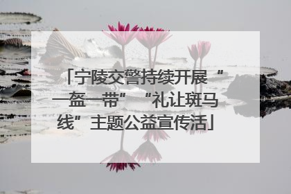 宁陵交警持续开展“一盔一带”“礼让斑马线”主题公益宣传活
