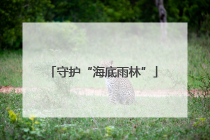 守护“海底雨林”