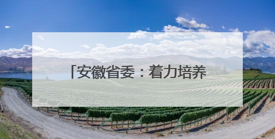 安徽省委：着力培养选拔优秀年轻干部