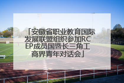 安徽省职业教育国际发展联盟组织参加RCEP成员国暨长三角工商界青年对话会
