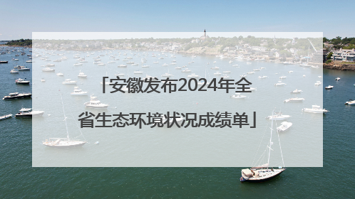 安徽发布2024年全省生态环境状况成绩单