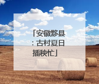 安徽黟县：古村夏日插秧忙