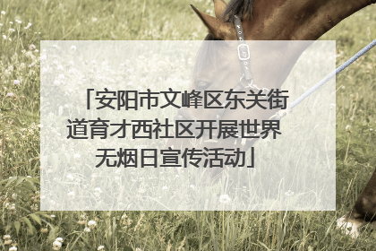 安阳市文峰区东关街道育才西社区开展世界无烟日宣传活动