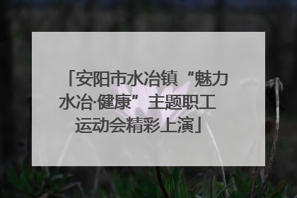 安阳市水冶镇“魅力水冶·健康”主题职工运动会精彩上演