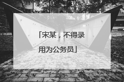宋某，不得录用为公务员
