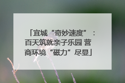 宜城“奇妙速度”：百天筑就亲子乐园 营商环境“磁力”尽显
