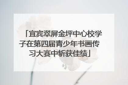 宜宾翠屏金坪中心校学子在第四届青少年书画传习大赛中斩获佳绩