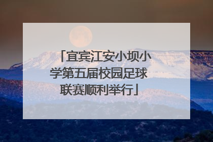宜宾江安小坝小学第五届校园足球联赛顺利举行