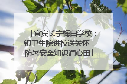 宜宾长宁梅白学校：镇卫生院进校送关怀，防暑安全知识润心田