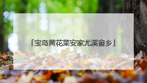 宝岛黄花菜安家尤溪畲乡