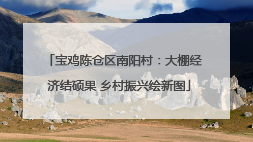 宝鸡陈仓区南阳村：大棚经济结硕果 乡村振兴绘新图