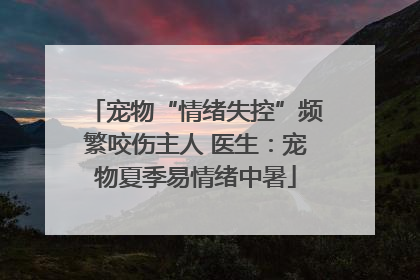 宠物“情绪失控”频繁咬伤主人 医生：宠物夏季易情绪中暑