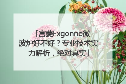 宫菱Fxgonne微波炉好不好？专业技术实力解析，绝对真实