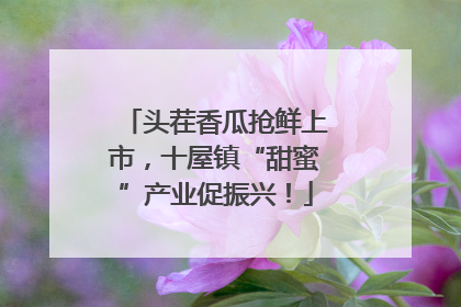头茬香瓜抢鲜上市，十屋镇“甜蜜”产业促振兴！