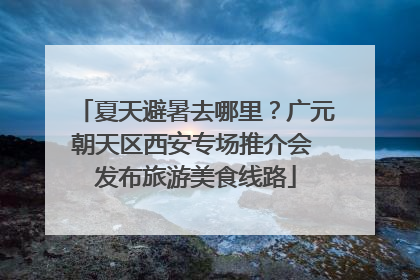 夏天避暑去哪里？广元朝天区西安专场推介会 发布旅游美食线路