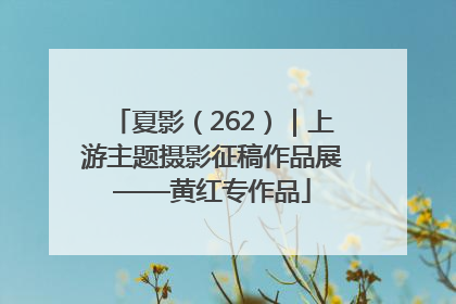夏影（262）｜上游主题摄影征稿作品展——黄红专作品