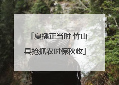 夏播正当时 竹山县抢抓农时保秋收