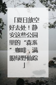 夏日放空好去处！静安这些公园里的“森系”咖啡，满眼绿野仙踪