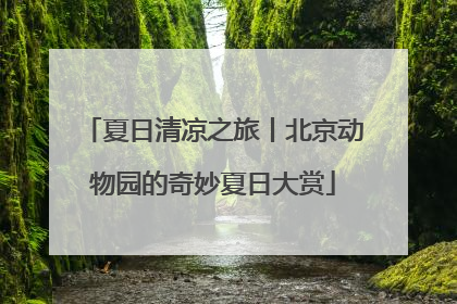 夏日清凉之旅丨北京动物园的奇妙夏日大赏