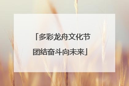 多彩龙舟文化节 团结奋斗向未来