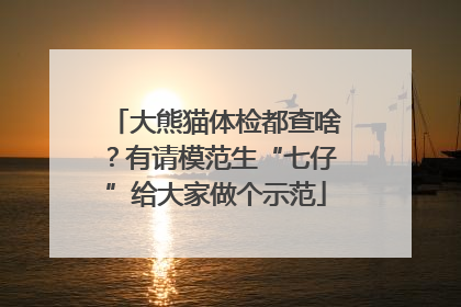 大熊猫体检都查啥？有请模范生“七仔”给大家做个示范