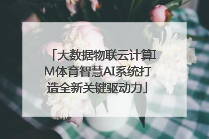 大数据物联云计算IM体育智慧AI系统打造全新关键驱动力