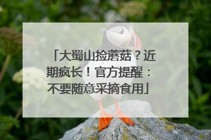 大蜀山捡蘑菇？近期疯长！官方提醒：不要随意采摘食用